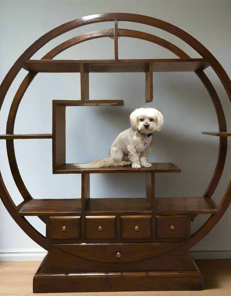 The Scholar's Sanctuary (Round Bookshelf)